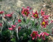 unit 3 It is too expensive